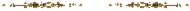 separador